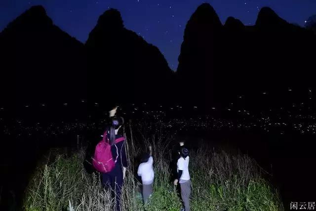 员工发视频贬损公司，法院判决支持解雇